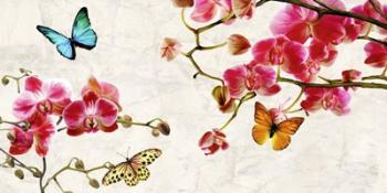 Orchids & Butterflies | Obraz na stenu