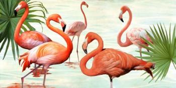 Flamingos | Obraz na stenu