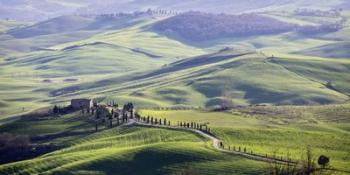A Road in Tuscany | Obraz na stenu