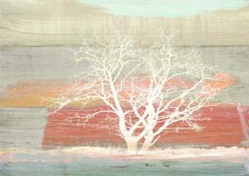 Treescape #1 (Subdued) | Obraz na stenu