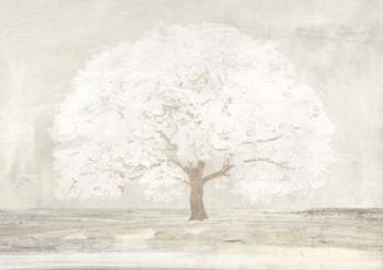 Pale Tree | Obraz na stenu