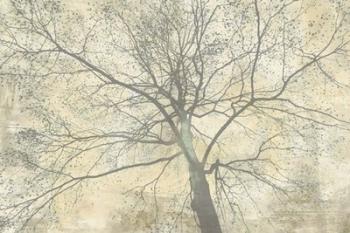 Below My Tree II | Obraz na stenu