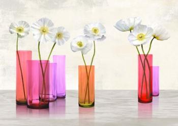 Poppies in crystal vases (Purple palette) | Obraz na stenu