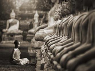 Young Buddhist Monk praying, Thailand (sepia) | Obraz na stenu