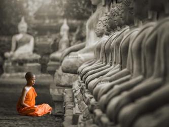 Young Buddhist Monk Praying, Thailand (BW) | Obraz na stenu