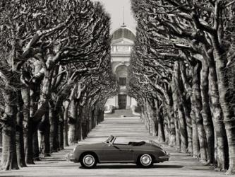 Roadster in Tree Lined Road, Paris (BW) | Obraz na stenu