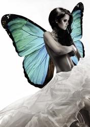 Winged Beauty #1 (detail) | Obraz na stenu