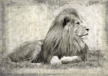 Memories of Africa I | Obraz na stenu