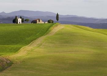 Val d'Orcia, Siena, Tuscany | Obraz na stenu