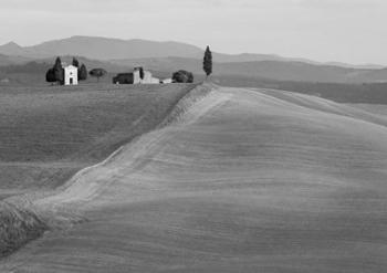 Val d'Orcia, Siena, Tuscany (BW) | Obraz na stenu