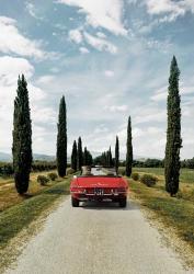 Sportscar in Tuscany | Obraz na stenu