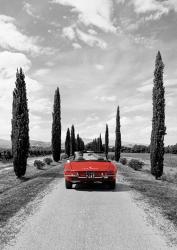 Sportscar in Tuscany (BW) | Obraz na stenu