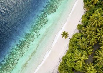 Tropical Beach, Aerial View | Obraz na stenu