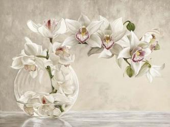 Orchid Vase | Obraz na stenu
