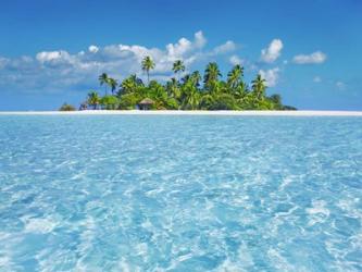 Tropical Lagoon with Palm Island, Maldives | Obraz na stenu