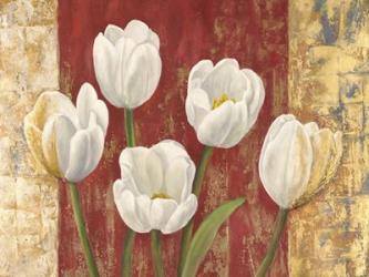 Tulips on Royal Red | Obraz na stenu