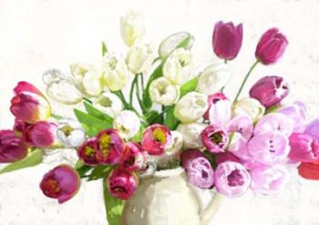 Bouquet on White Background | Obraz na stenu