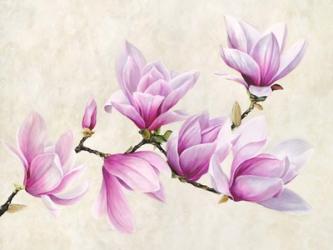 Ramo di Magnolia | Obraz na stenu