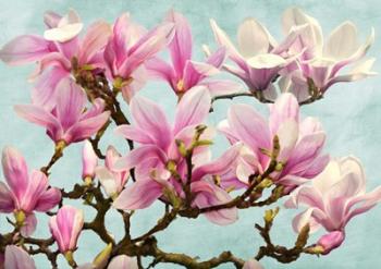 Magnolia Branch (turquoise) | Obraz na stenu