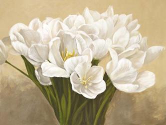 Tulipes Blanches | Obraz na stenu