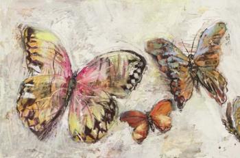 Farfalle in Volo II | Obraz na stenu