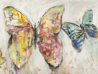 Farfalle in Volo I | Obraz na stenu