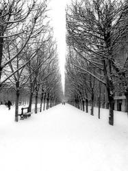 The Tuileries Garden under the Snow, Paris | Obraz na stenu