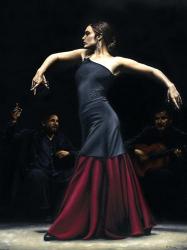 Encantado por Flamenco | Obraz na stenu