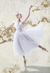 White Ballerina | Obraz na stenu