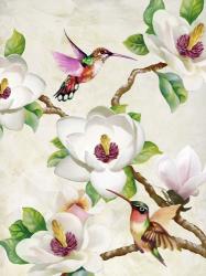 Magnolia and Humming Birds | Obraz na stenu