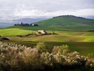 Tuscan Countryside | Obraz na stenu