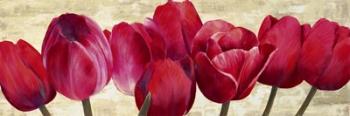 Red Tulips | Obraz na stenu