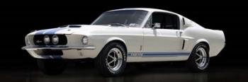 Shelby GT500 | Obraz na stenu