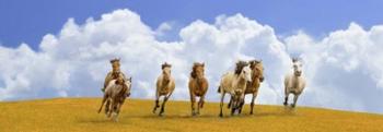 Herd of Wild Horses (detail) | Obraz na stenu