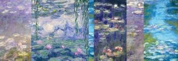 Waterlilies I | Obraz na stenu