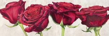 Rose Romantiche | Obraz na stenu