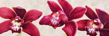 Eleganti Orchidee | Obraz na stenu