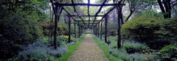 Garden path, Old Westbury Gardens, Long Island | Obraz na stenu