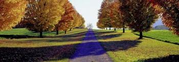 Autumn Road, Storm King Mountain, New York | Obraz na stenu