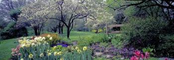 Country garden, Old Westbury Gardens, Long Island | Obraz na stenu