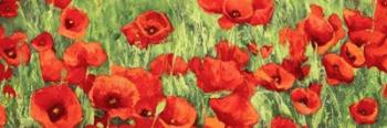 Poppy Field (Detail) | Obraz na stenu