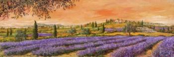 Filari di Lavanda | Obraz na stenu
