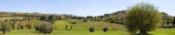 Val d'Orcia, Siena, Tuscany | Obraz na stenu
