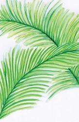 Palm Leaves | Obraz na stenu