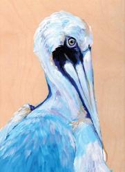Blue and White Pelican | Obraz na stenu