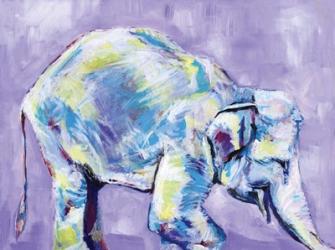 Elephant I | Obraz na stenu