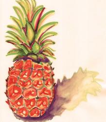 Orange Pineapple | Obraz na stenu