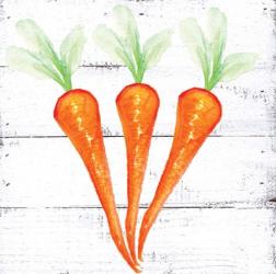 Farm Fresh Carrots | Obraz na stenu