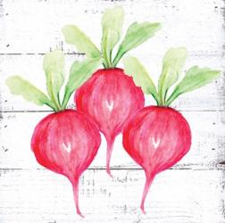 Farm Fresh Radishes | Obraz na stenu