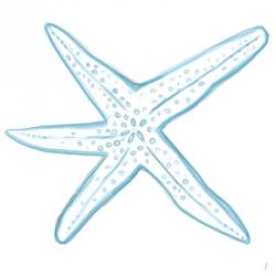 Starfish | Obraz na stenu